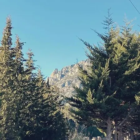 Dans Un Domaine Viticole * Tautavel