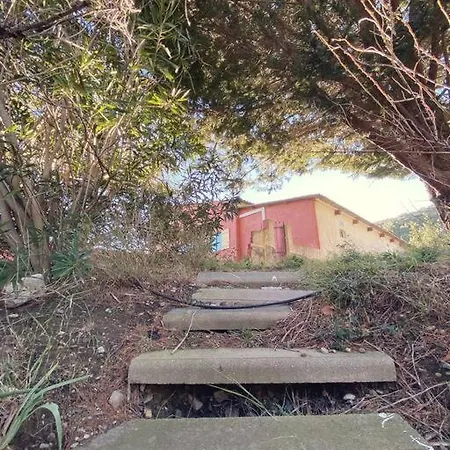Dans Un Domaine Viticole Tautavel