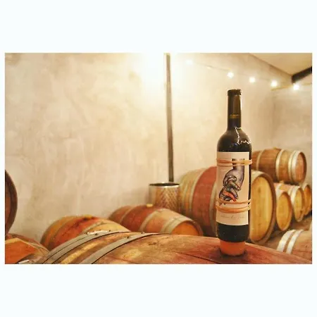 Appartamento Dans Un Domaine Viticole Tautavel