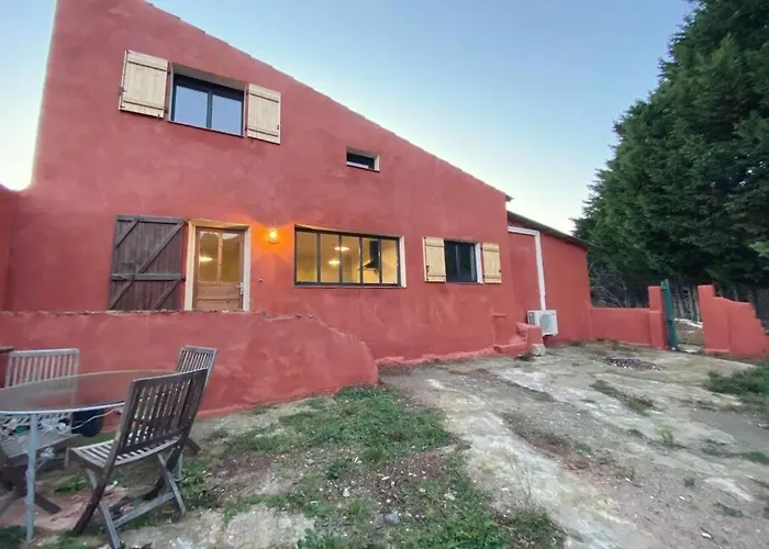 Dans Un Domaine Viticole Tautavel