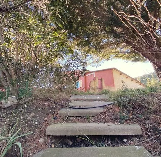 Dans Un Domaine Viticole Tautavel